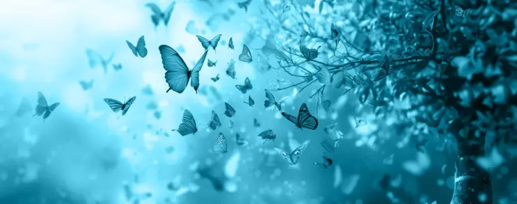 Mennuni_Comunicazione3.jpg  -      Le parole sul web sono ali di farfalla,   
  capaci di portare leggerezza e bellezza ovunque arrivino.     

